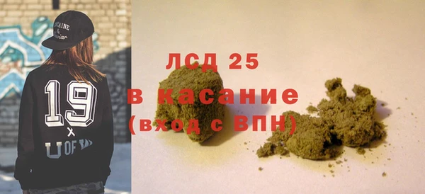 хмурый Гусь-Хрустальный