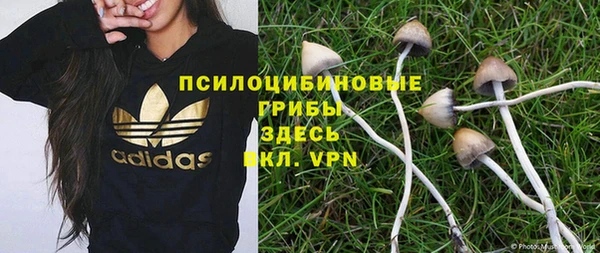 хмурый Гусь-Хрустальный
