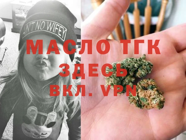 хмурый Гусь-Хрустальный