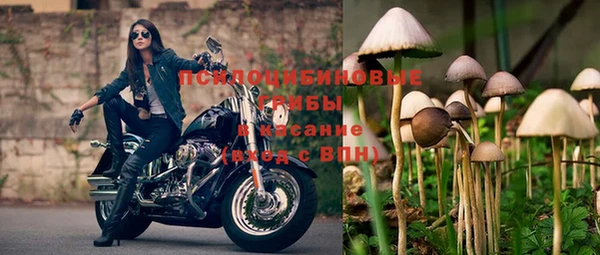 марки lsd Гусев