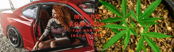 хмурый Гусь-Хрустальный