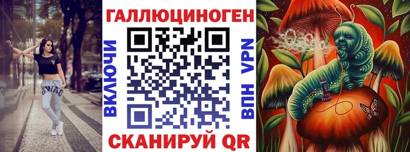 где купить наркоту  Ядрин  Псилоцибиновые грибы Cubensis 